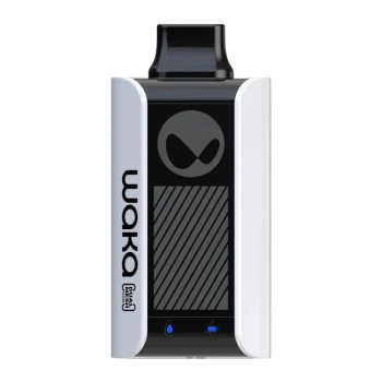 Waka soPro PA10000 Disposable Vape Kit